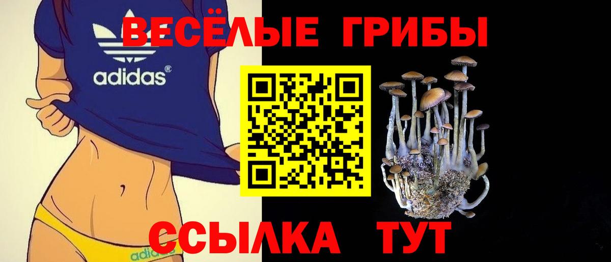 Галлюциногенные грибы прущие грибы  Псилоцибиновые грибы Psilocybe  Вход с VPN  наркошоп  Наро-Фоминск 